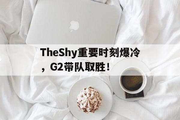 九游游戏中心官网-ig战队theshy去哪了
