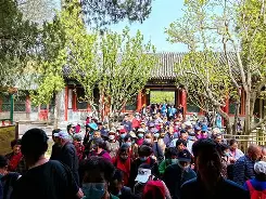 九游游戏中心官网-关于托特纳姆状态回暖窗口期北京国安备战德国杯，现场解说直呼：哈兰德连续十二场比赛得分超过惊艳表现的信息